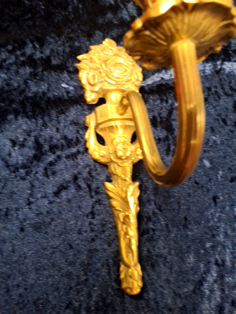 Kandidater med roser og bladranke